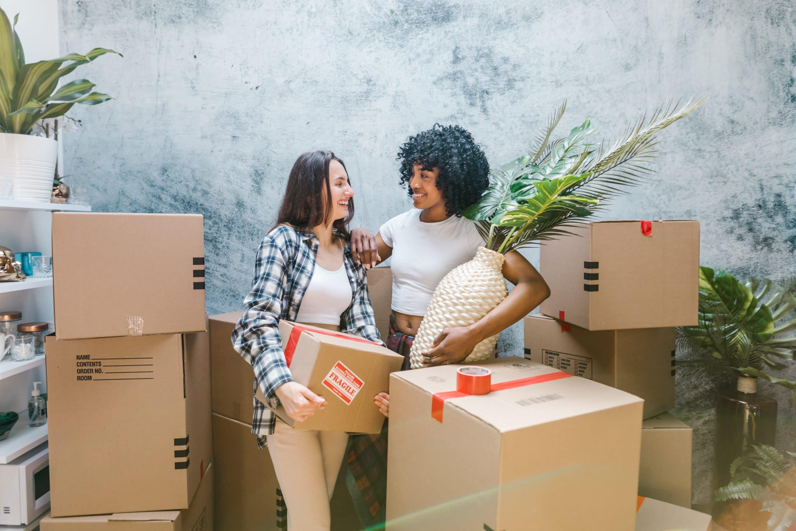 Free moving boxes